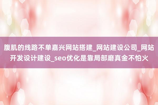 腹肌的线路不单嘉兴网站搭建_网站建设公司_网站开发设计建设_seo优化是靠局部磨真金不怕火