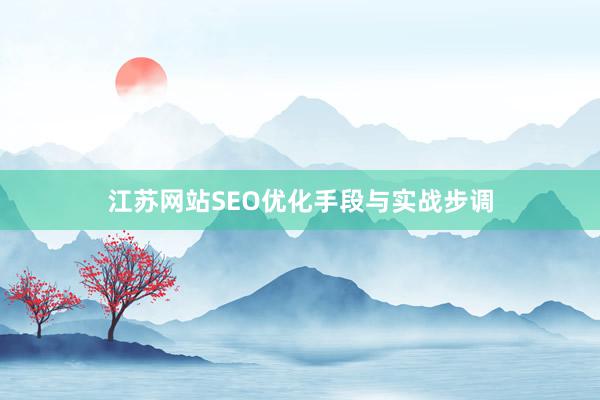 江苏网站SEO优化手段与实战步调