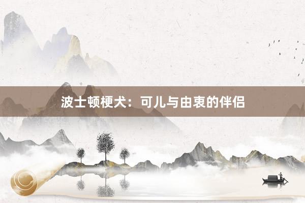 波士顿梗犬：可儿与由衷的伴侣
