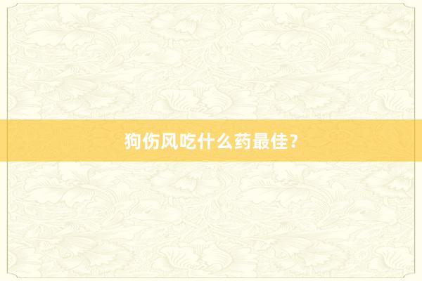 狗伤风吃什么药最佳？