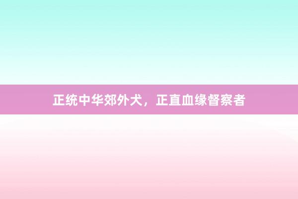 正统中华郊外犬，正直血缘督察者